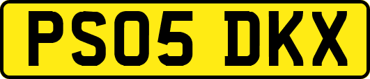 PS05DKX