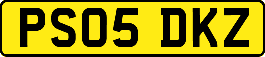 PS05DKZ
