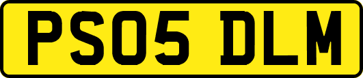 PS05DLM