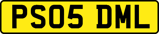 PS05DML