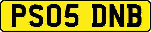 PS05DNB
