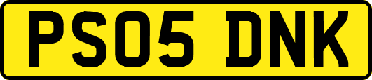 PS05DNK