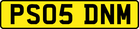 PS05DNM