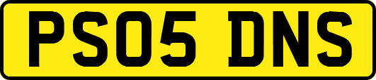 PS05DNS
