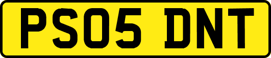 PS05DNT