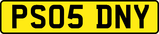 PS05DNY