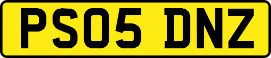 PS05DNZ