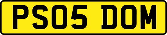 PS05DOM