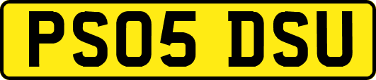 PS05DSU