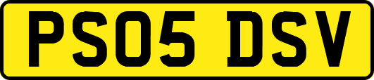 PS05DSV