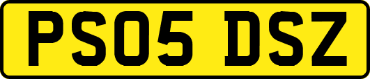 PS05DSZ