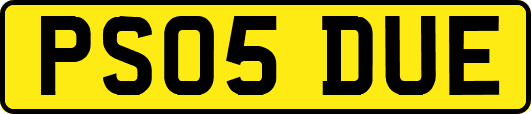 PS05DUE