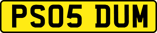 PS05DUM