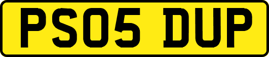 PS05DUP