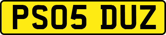 PS05DUZ