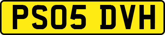 PS05DVH