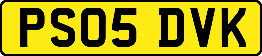 PS05DVK