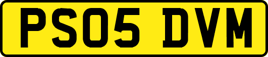 PS05DVM