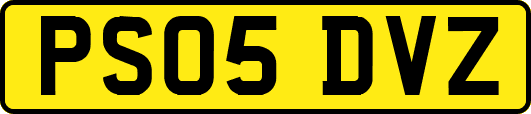 PS05DVZ