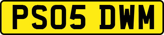 PS05DWM