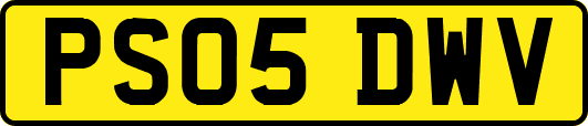 PS05DWV