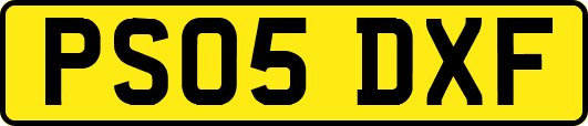 PS05DXF