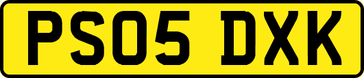 PS05DXK