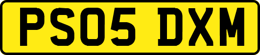 PS05DXM