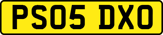 PS05DXO