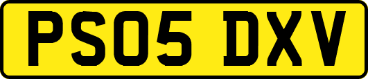 PS05DXV