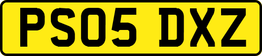 PS05DXZ