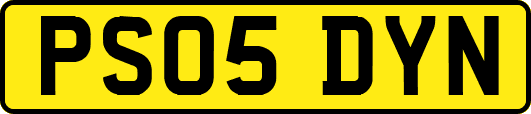 PS05DYN
