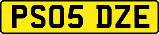 PS05DZE