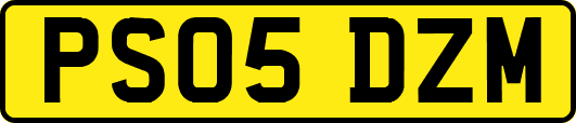 PS05DZM