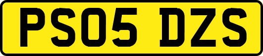 PS05DZS