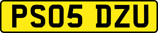 PS05DZU