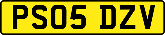 PS05DZV