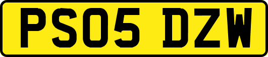 PS05DZW