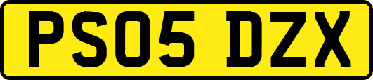 PS05DZX