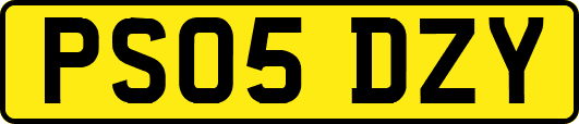 PS05DZY