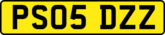 PS05DZZ