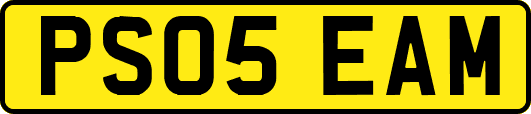 PS05EAM