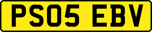 PS05EBV