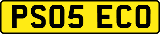 PS05ECO