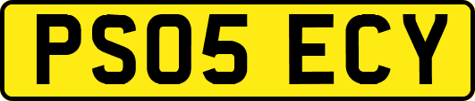 PS05ECY