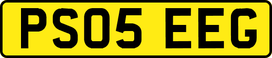 PS05EEG