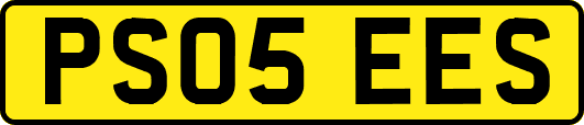 PS05EES