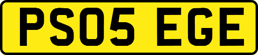 PS05EGE
