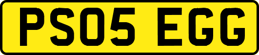 PS05EGG