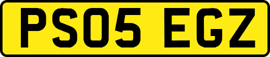 PS05EGZ